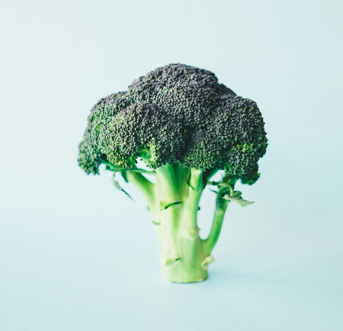 Sulforaphane: The Broccoli Compound That Activates Your Body's Own Defense System