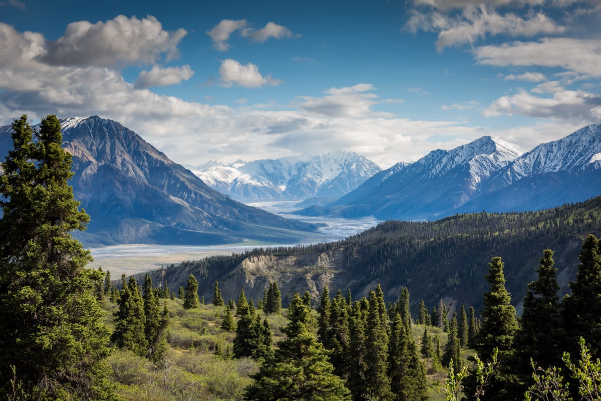 Shilajit: The Himalayan Resin With Surprisingly Strong Testosterone Evidence