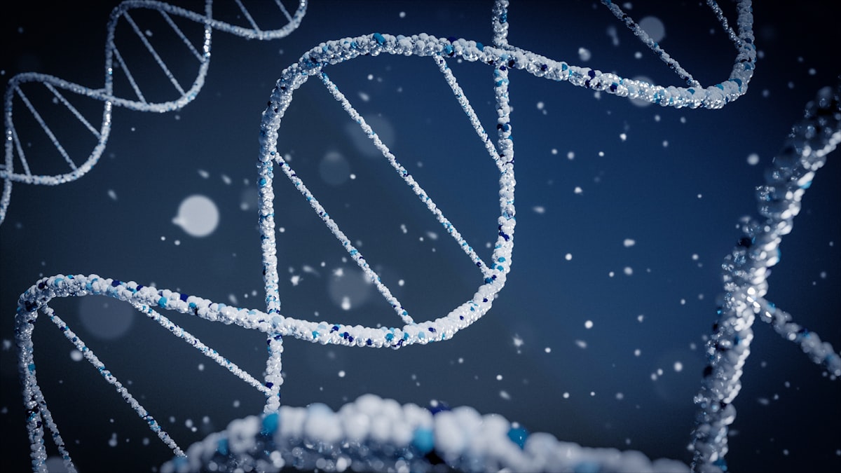 NMN vs NR: Which NAD+ Precursor Actually Works?