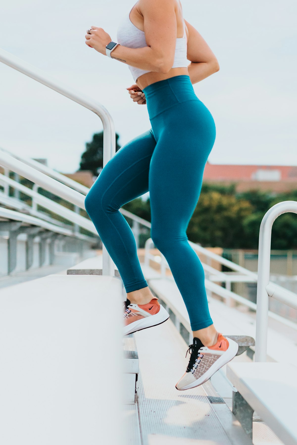 Zone 2 Cardio: <a href=