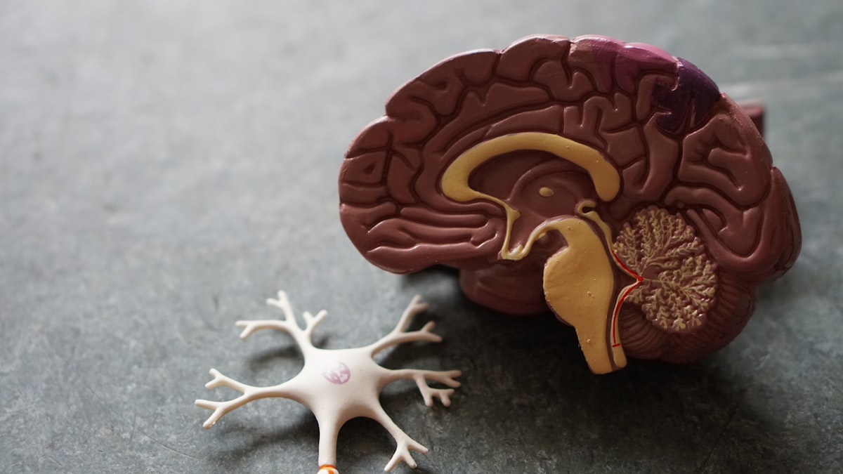 Alpha-GPC and the Choline Question